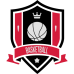 Basketball Seal DG0002BBAL
